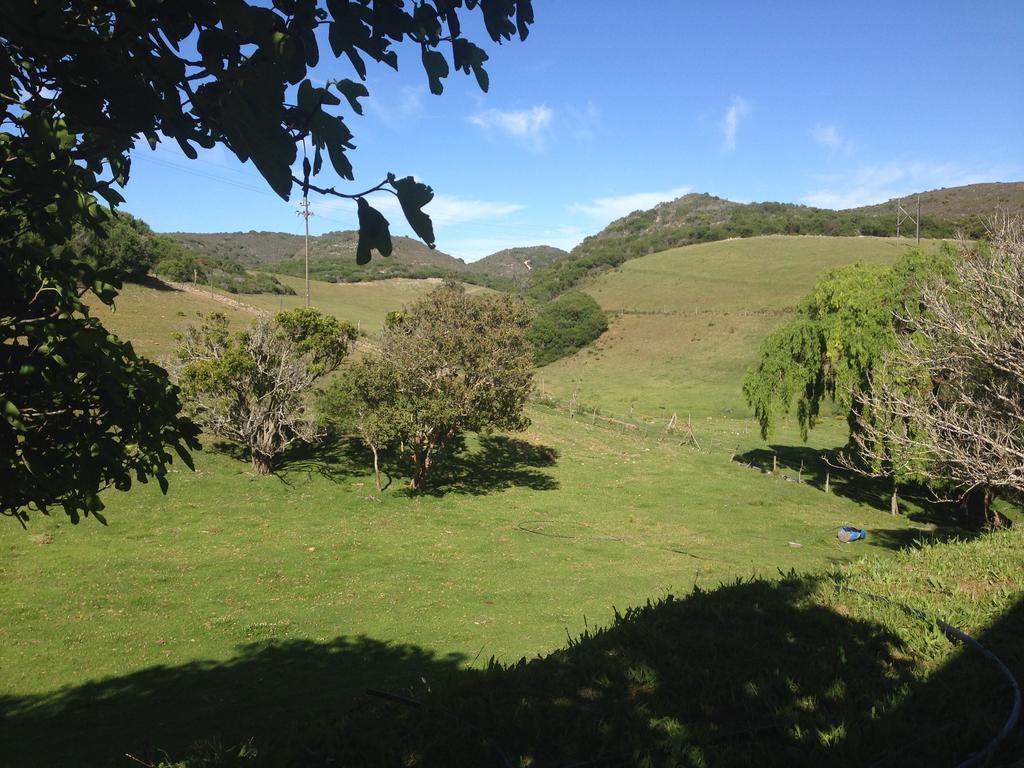 Apartamento Waterryk Eco Guest Farm Stilbaai Exterior foto